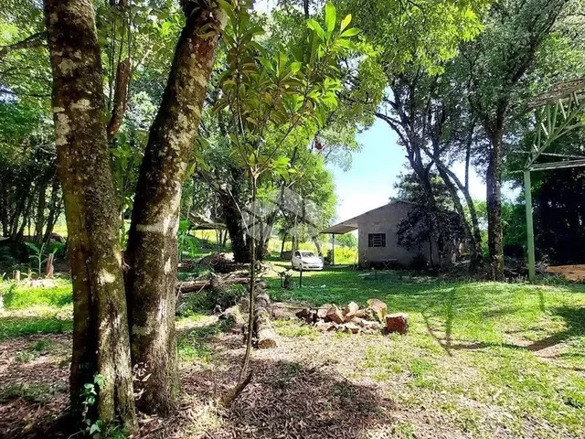 Imagem: Área Rural em santa Lucia Vale dos Vinhedos