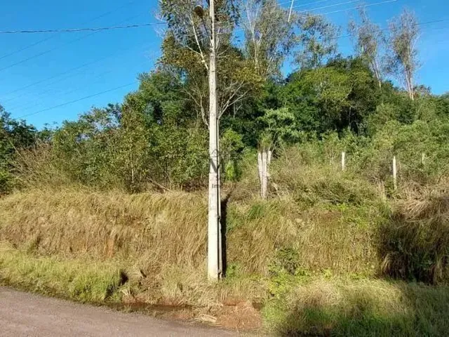 Imagem 10: Terreno Bairro Joaneta, Picada Café.rs Ref.:103