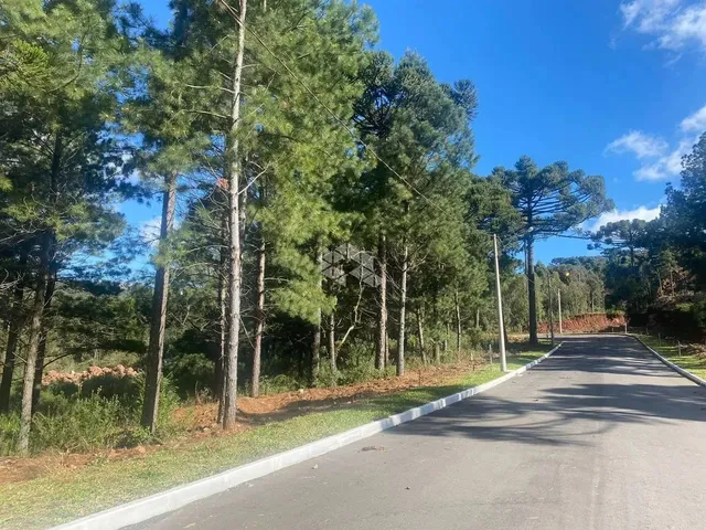 Imagem: Terreno em Gramado