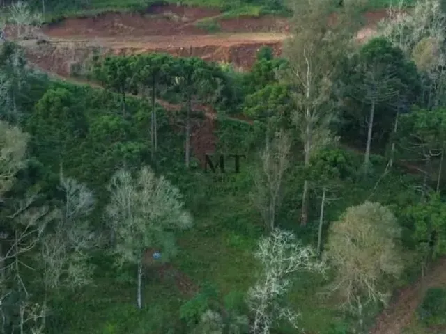 Imagem: Sítio Bairro Linha Pirajá, Nova Petrópolis.rs