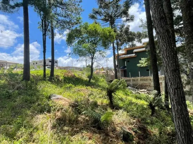 Imagem: Terreno - Bairro Dutra