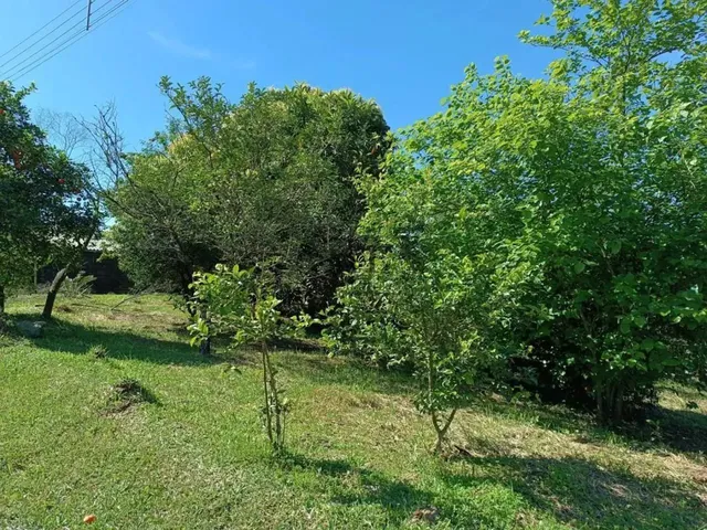 Imagem: Terreno Bairro Esperança, Picada Café