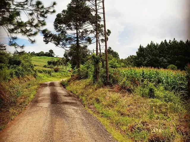 Imagem 9: Sitio com Casa de 90M², 2 Quartos, Sacada, Serra Grande em Gramad
