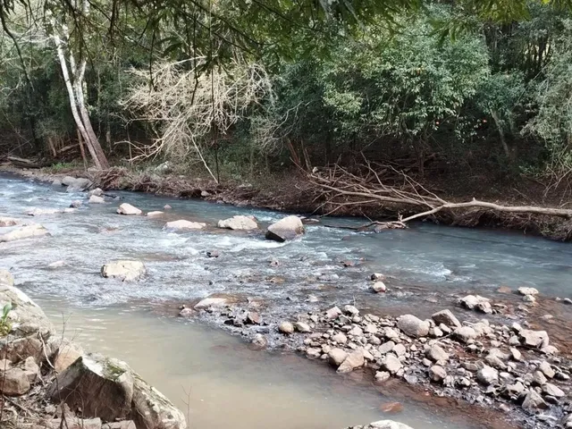 Imagem 11: Oportunidade dos Sonhos! Sítio em Canela