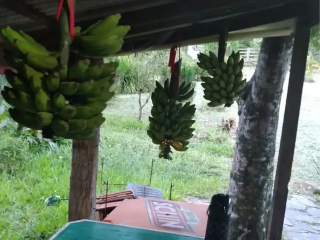 Imagem 15: Oportunidade dos Sonhos! Sítio em Canela