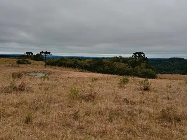 Imagem: 70 Hectares de Campo em São Francisco de
