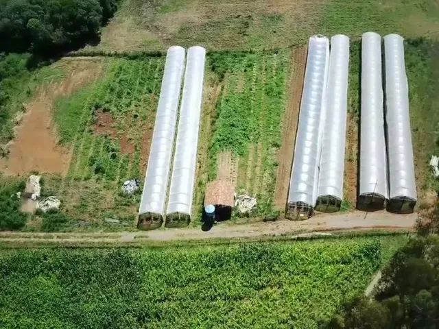 Imagem: Lindo Sítio com Água em Abundância