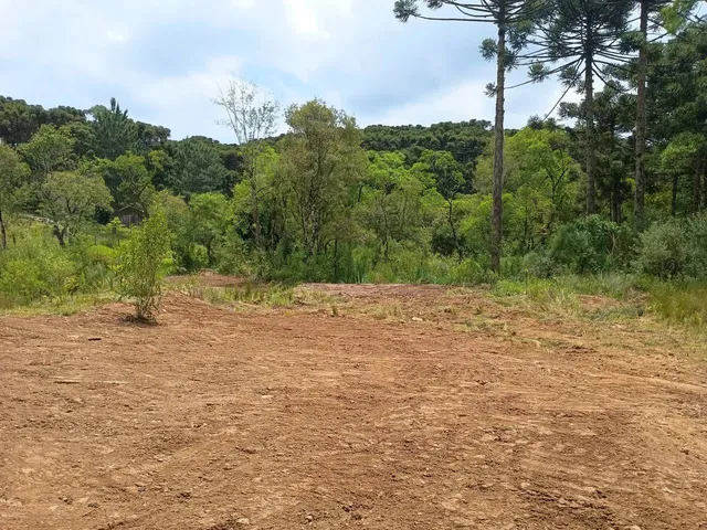 Imagem: Chácara com 6.880M², a Três Km do Centro