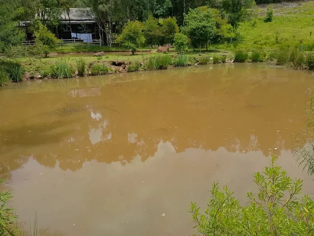 Imagem 3: Chácara com 6.880M², a Três Km do Centro de Gramado