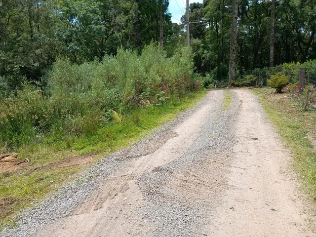Imagem 7: Chácara com 6.880M², a Três Km do Centro de Gramado