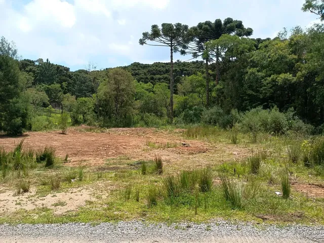 Imagem 8: Chácara com 6.880M², a Três Km do Centro de Gramado