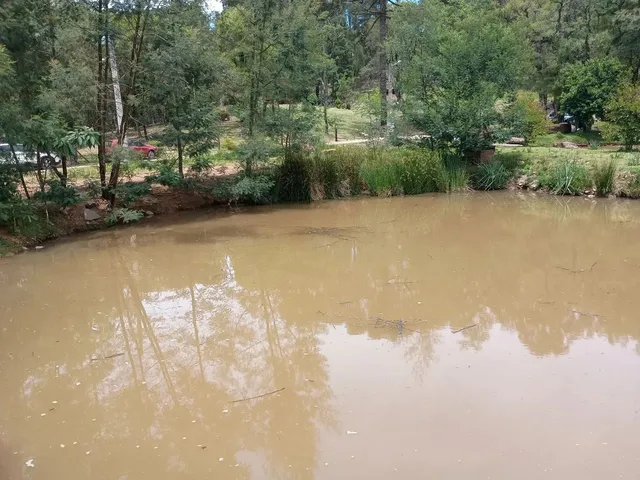Imagem 10: Chácara com 6.880M², a Três Km do Centro de Gramado