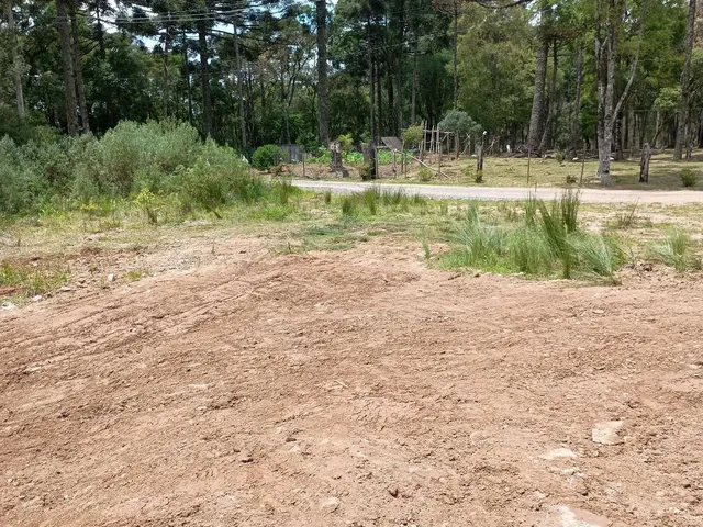 Imagem 11: Chácara com 6.880M², a Três Km do Centro de Gramado