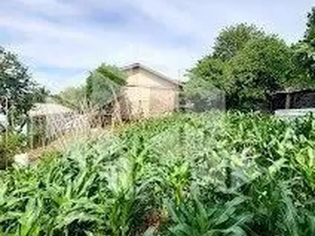 Imagem: Terreno 13 X 30 no Bairro santa Helena
