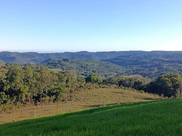 Imagem: Sítio 10 Hectares com Belíssima Vista