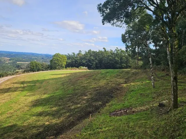 Imagem 4: Sítio 10 Hectares com Belíssima Vista, Próximo de Gramado