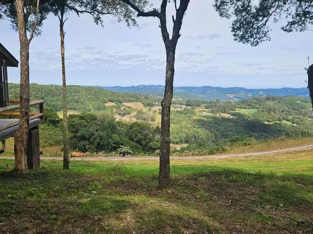 Imagem 5: Sítio 10 Hectares com Belíssima Vista, Próximo de Gramado