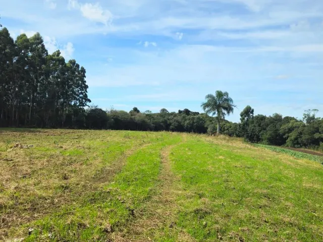 Imagem 2: Sítio 10 Hectares com Belíssima Vista, Próximo de Gramado