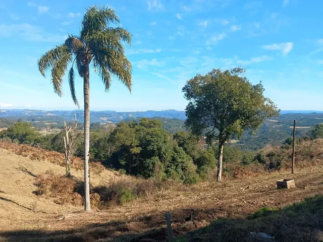 Imagem 10: Sítio 10 Hectares com Belíssima Vista, Próximo de Gramado