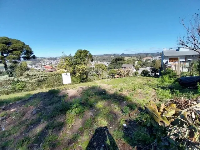 Imagem 4: Terreno para Construção de Empreendimento