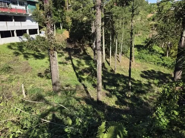 Imagem: Terreno para Venda em Nova Petrópolis