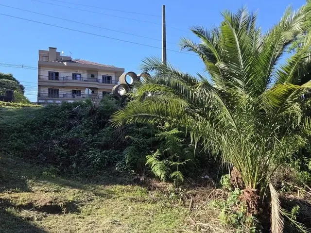 Imagem 7: Terreno para Venda em Nova Petrópolis, Pousada da Neve