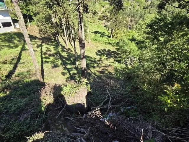 Imagem 5: Terreno para Venda em Nova Petrópolis, Pousada da Neve