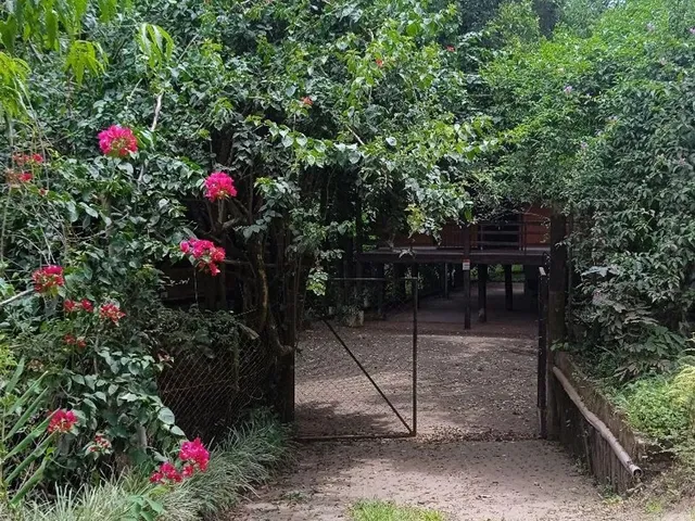 Imagem 8: Chácara Nova Petrópolis