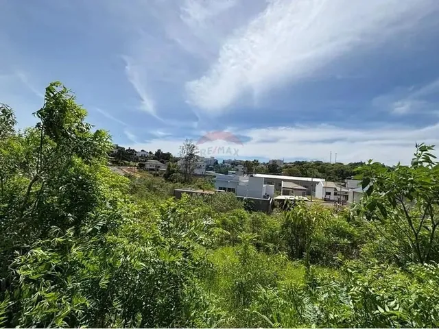 Imagem 7: Terreno - Constantina/Rs