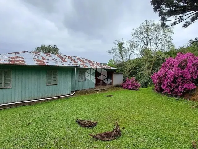 Imagem: Terra no Interior de Monte Belo do Sul