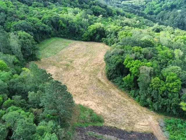 Imagem 1: Sítio / Chácara para Venda em Nova Petrópolis, Pinhal Alto