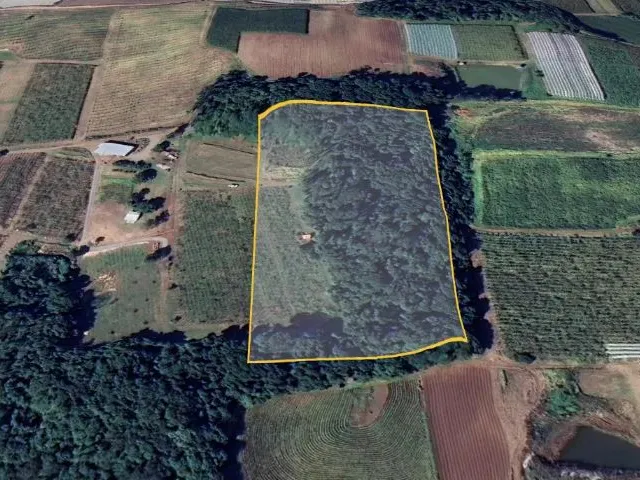Imagem: Sítio com 2 Hectares e Parreiral no Interior