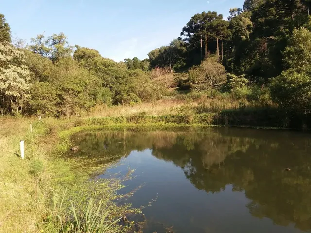 Imagem 2: Sitio 1.5 Hectare com Lago, Pertinho de Gramado