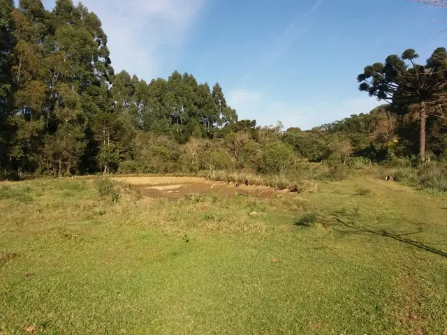 Imagem 3: Sitio 1.5 Hectare com Lago, Pertinho de Gramado