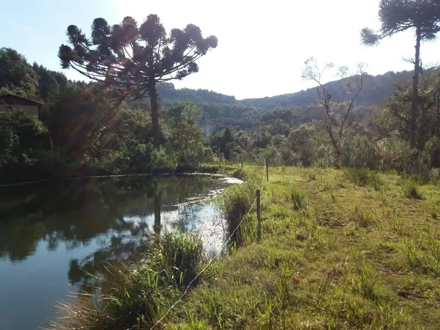 Imagem 5: Sitio 1.5 Hectare com Lago, Pertinho de Gramado