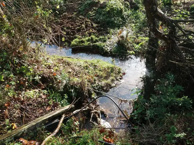 Imagem 7: Sitio 1.5 Hectare com Lago, Pertinho de Gramado
