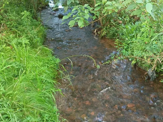 Imagem 8: Sitio 1.5 Hectare com Lago, Pertinho de Gramado