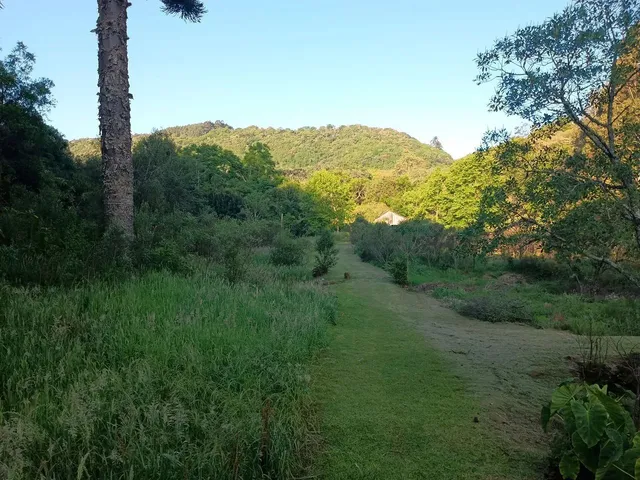 Imagem 11: Sitio 1.5 Hectare com Lago, Pertinho de Gramado