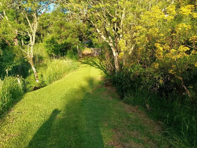 Imagem 12: Sitio 1.5 Hectare com Lago, Pertinho de Gramado