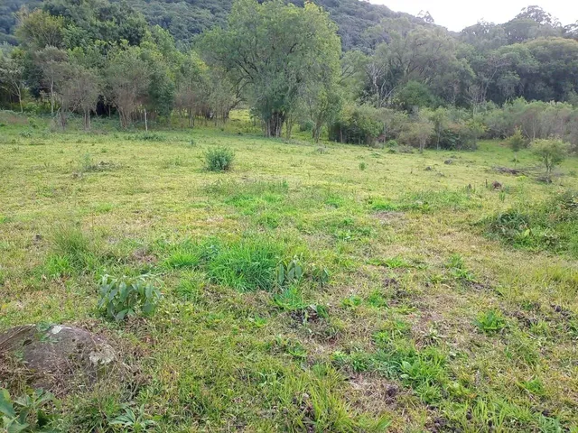 Imagem 13: Sitio 1.5 Hectare com Lago, Pertinho de Gramado
