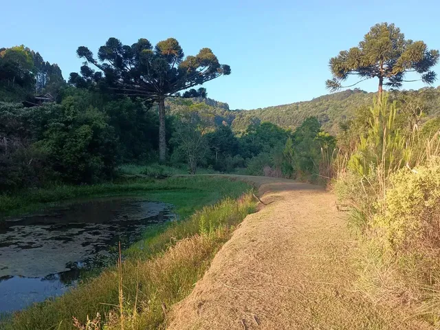 Imagem 14: Sitio 1.5 Hectare com Lago, Pertinho de Gramado