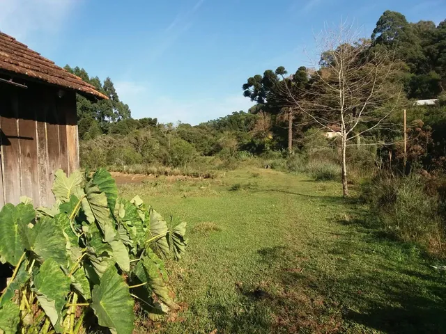 Imagem 15: Sitio 1.5 Hectare com Lago, Pertinho de Gramado