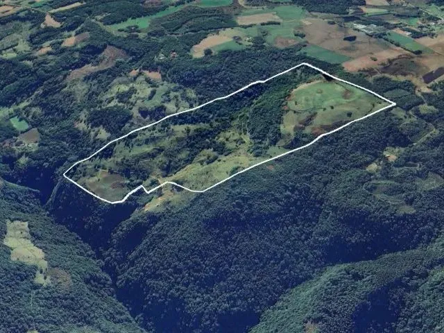 Imagem: Área Rural com 50Ha