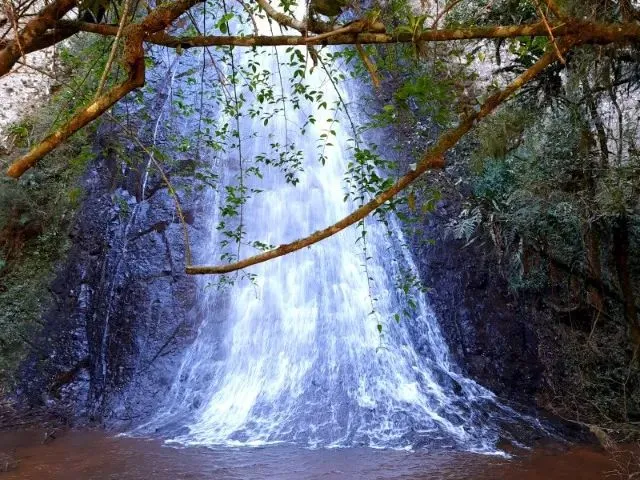 Imagem 5: Área Rural com 50Ha