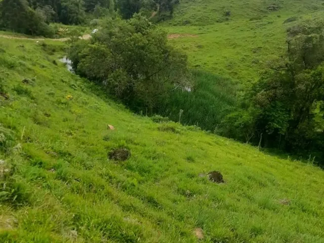 Imagem 3: Área Rural com 50Ha