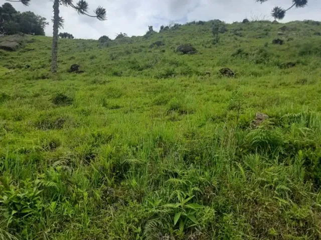 Imagem 7: Área Rural com 50Ha