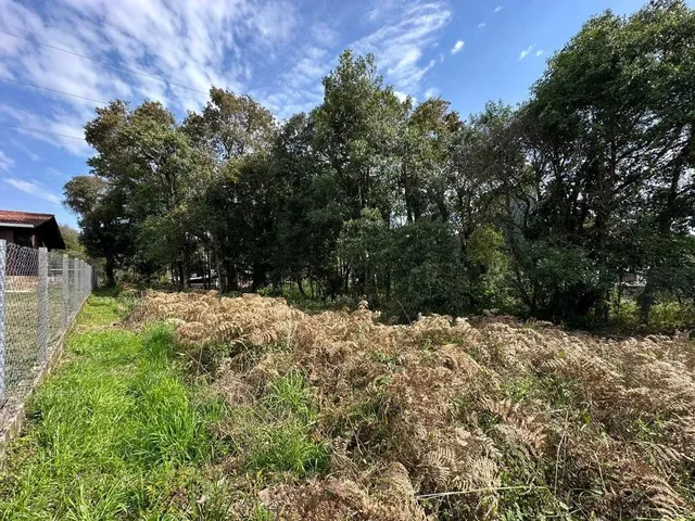 Imagem: Terreno Padrão com 2 Dormitorio(S) Localizado(A)