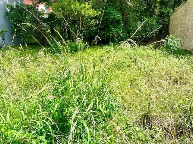 Imagem: Terreno Padrão com 2 Dormitorio(S) Localizado(A)