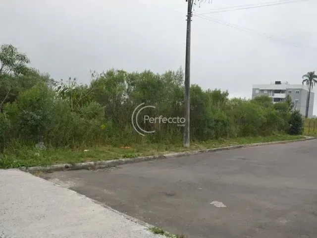 Imagem: Terrenos - Vila Verde