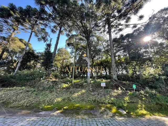 Imagem: Terreno 455 M² no Bairro Bela Vista Caxias